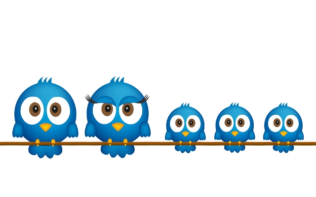 Twitter birds