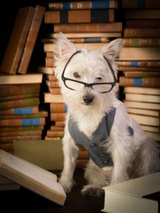 Self-Publishing Stigma 